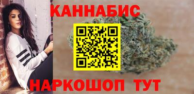 сатива Будённовск